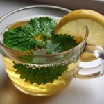recipes using lemon balm